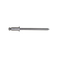1/8" Panel Rivets Stainless Steel, 1/8"-3/16" Grip, Stainless Steel Body, Steel Mandrel