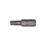 #10 T-25 Torx Insert Bit
