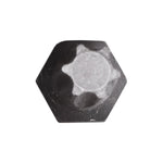 #10 T-25 Torx Insert Bit