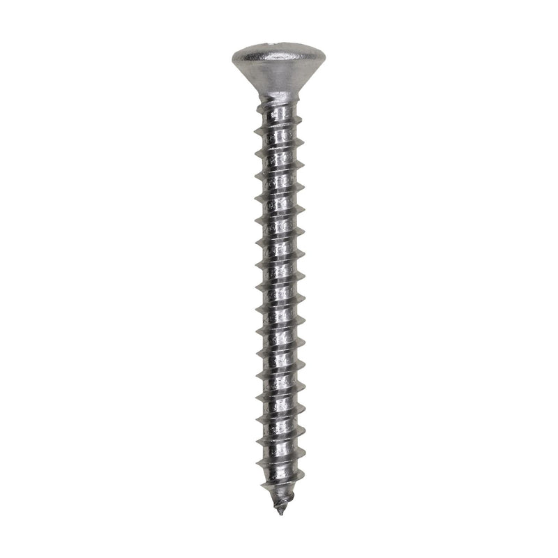 #10x1-3/4" Phillips Oval Head Tapping Screw, Type A/AB
