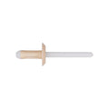 1/4"x2-3/16" White Nylon Expansion Rivet