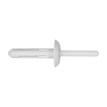 1/4"x2" White Nylon Blind Rivet