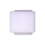 10mmx12mm Nylon Body Side Molding Clip