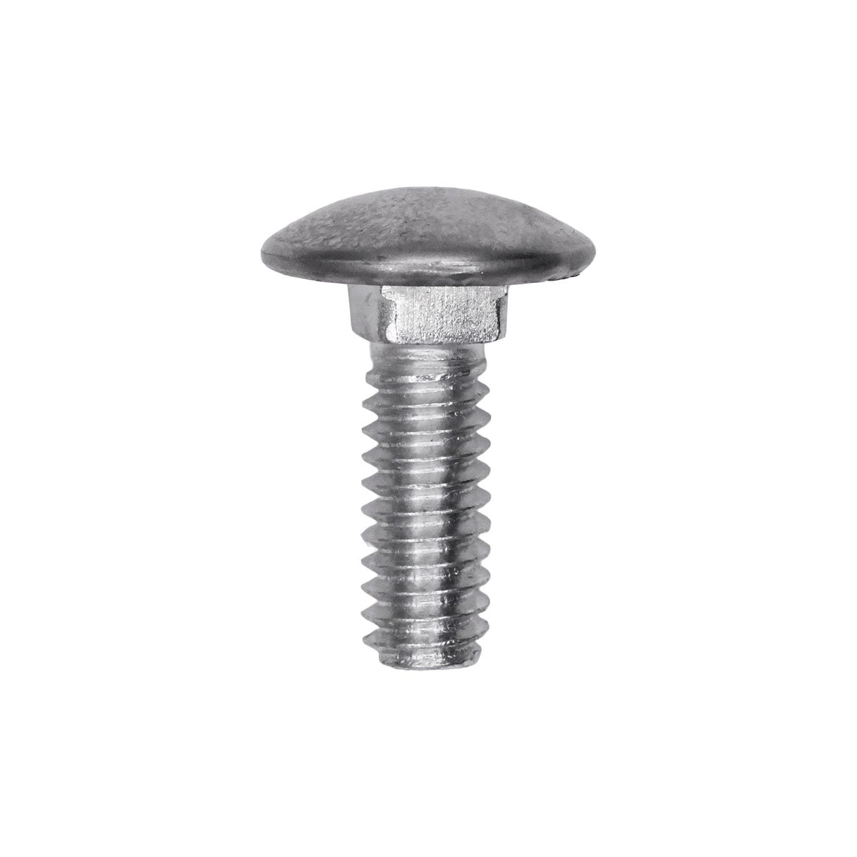 1/4"-20x3/4" Round Head Bumper Bolt Stainless Steel Cap, Zinc