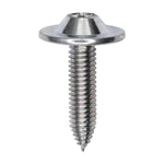 M6-1.0x25mm Torx Truss Head Body Bolt, Type CA, 18mm Washer, Zinc