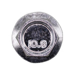 M6-1.0x12mm Hex Head Flange License Plate Screw, Zinc & Clear, 14mm Flange Diam