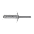 1/4" Gray Nylon Rivet