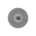 White Nylon Cowl Screen Grommet