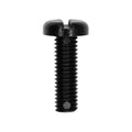 M6-1.0x20mm Slotted Pan Head License Plate Screw, Nylon