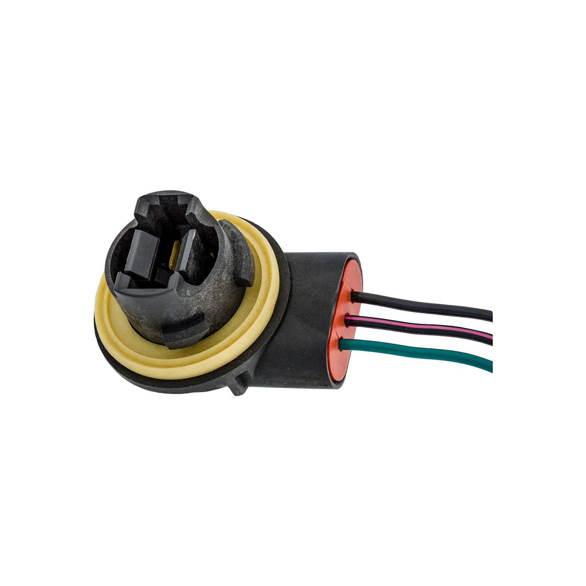 Signal/Park/Backup Light Socket Assembly