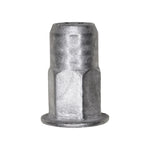 M6-1.0 Specialty Insert, 0.7mm - 4mm Grip, 13mm Head, Zinc