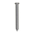 #10x1-1/2" Phillips Oval Head Tapping Screw, Type A/AB, Chrome, #6