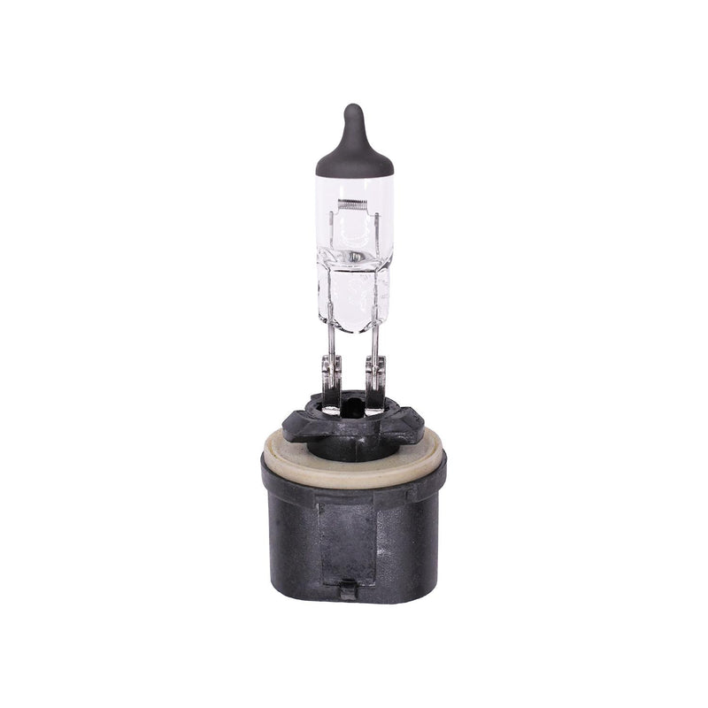 Halogen Bulb #893
