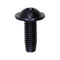 M6-1.0x16mm Phillips Truss Head License Plate Screw, 14mm Washer, Black Zinc