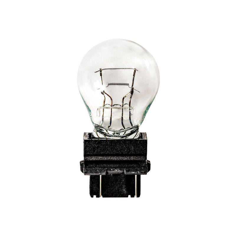 Clear Premium Imported Bulbs Miniature #3457