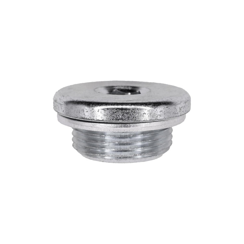 10mm Oil Drain Plug And Gasket, 21mm Head, Zinc