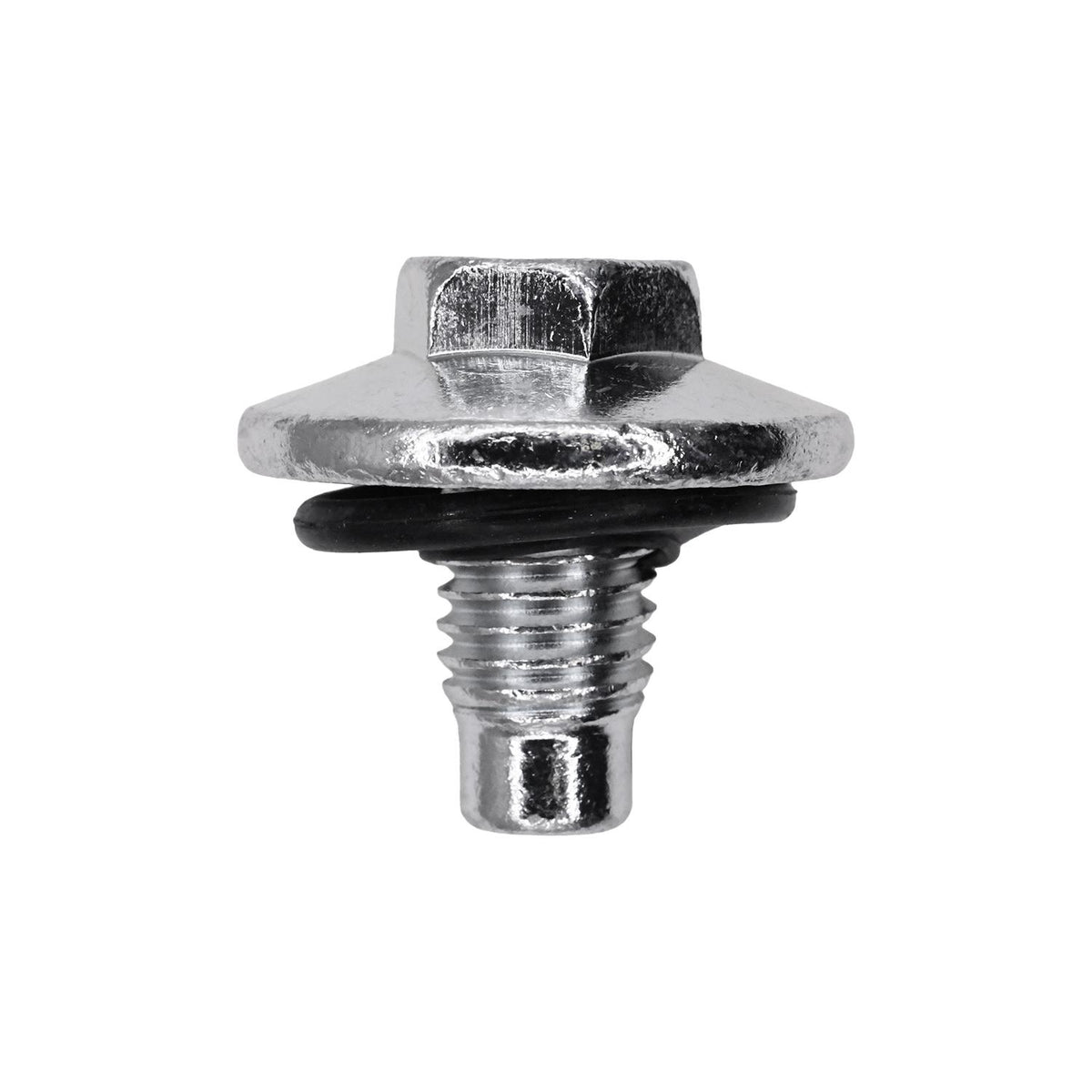 Molding and Trim Clips