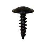 M5.5x20mm Torx Truss Head Tapping Screw, Type A/AB, Black Zinc