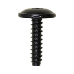 M4.8-1.61x18mm Torx Truss Head Tapping Screw, Black