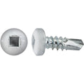 #8x1/2" Square Pan Head Self-Drilling Tek Painted RV Screws, Teks, Zinc, White Head