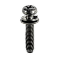 M6-1.0x29mm Philips Round Head Phillips License Plate Screw, Black Zinc