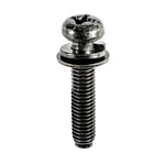 M6-1.0x29mm Philips Round Head Phillips License Plate Screw, Black Zinc