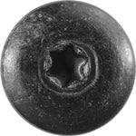 M4.2-1.41x16mm Torx Truss Head Tail Lamp & Interior Trim Button Tapping Screw, Type BR