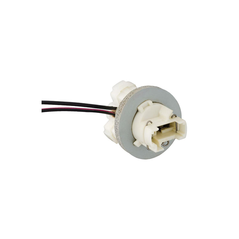 8" Rear Lamp Socket Assembly, 18 Gauge
