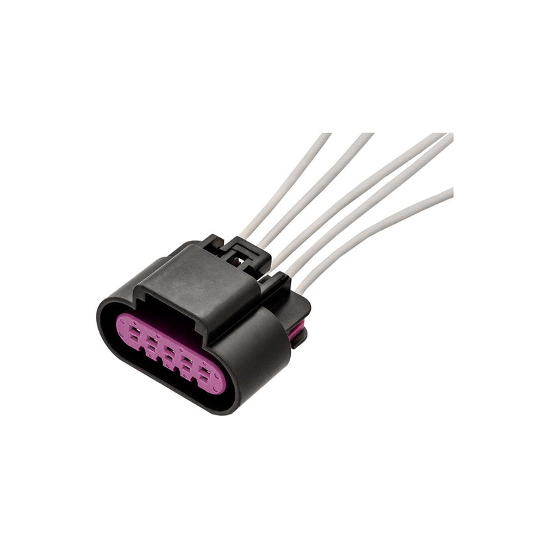 Combination Lamp Back Plate Harness Connector, 20 Gauge