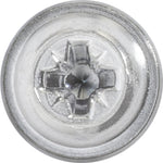 #8x7/16" Phillips Truss Head Washer T.S with Tek Point, Type 2 Self-Drilling Tek, 3/8" Washer, Chrome