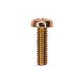 M6-1.0x20mm Phillips Pan Head License Plate Screw, Trivalent Yellow Zinc