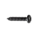 M4.2-1.41x20mm Pan Head Torx Tapping Screw, Type AB, Phosphate & Oil