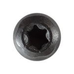 M4.2-1.41x20mm Pan Head Torx Tapping Screw, Type AB, Phosphate & Oil