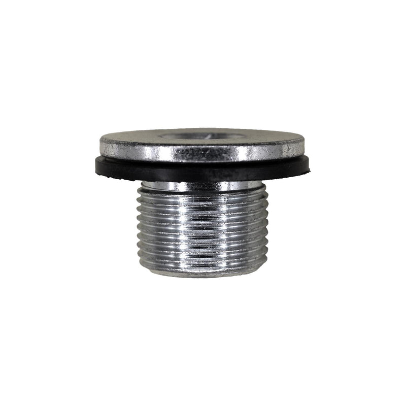 Drain Plug, Zinc