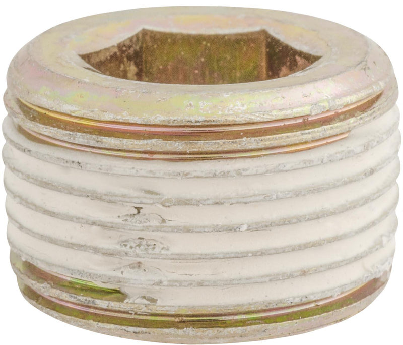 17mm Japanese Pipe Plug, Yellow Zinc Chromate