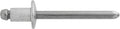 1/4" Silver Blind Rivet, 1/64" Grip