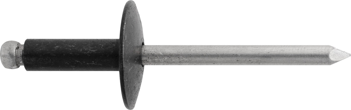 3/16" Black Rivet, 1/4" Grip