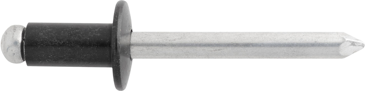 1/4" Black Blind Rivet, 1/16" Grip