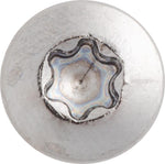 M4.2x20mm Oval Head Torx Tapping Screw, Type AB, Chrome