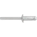 1/4" Blind Rivet Steel Mandrel & Rivet, 0.348" Grip, Zinc