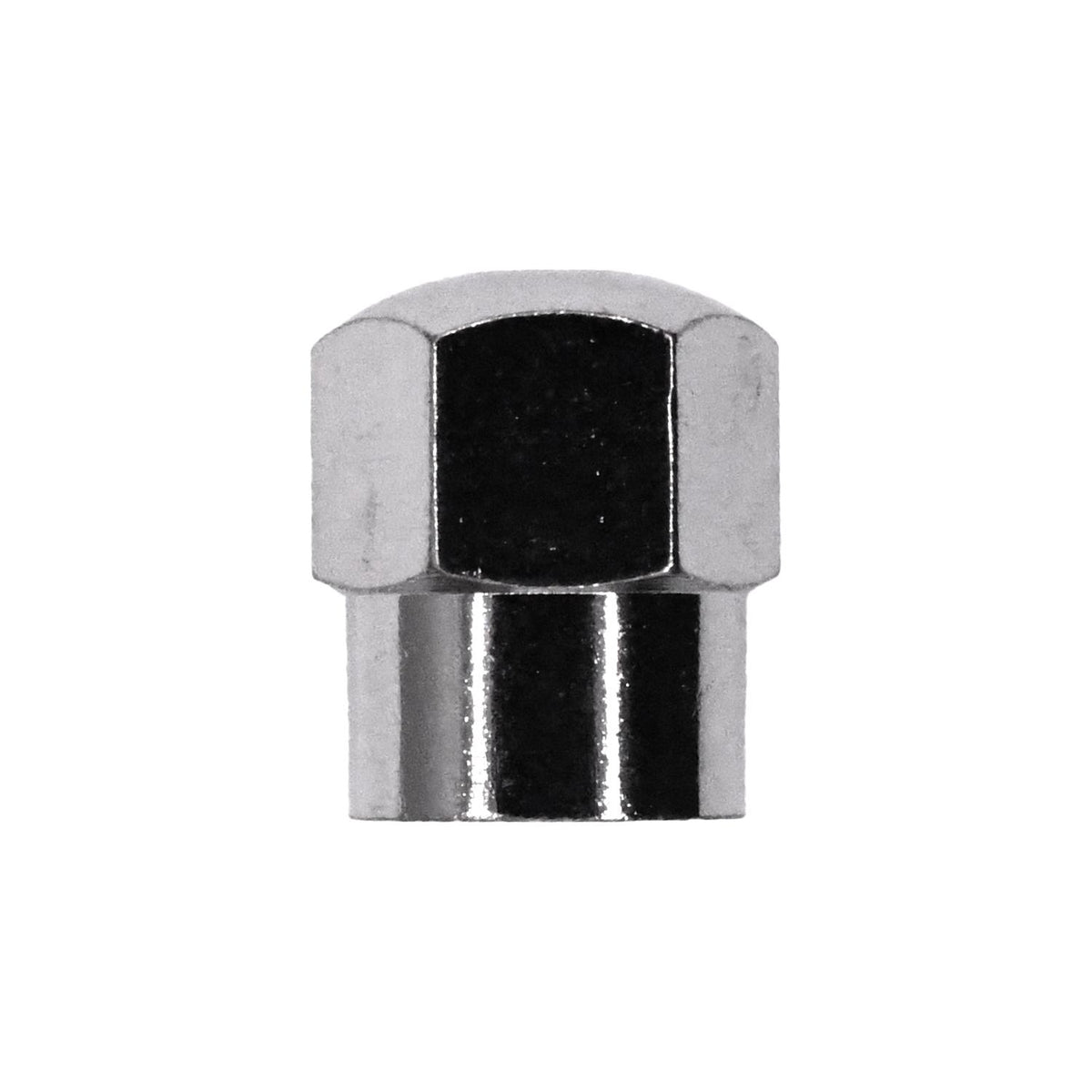 Metal Valve Stem Cap with O-Ring Seal
