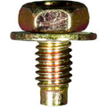 M6-1.0x12mm License Plate Screw, Dog Point, 14mm Washer, Yellow Zinc Dichromate