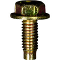 M6-1.0x16mm License Plate Screw, Dog Point, 14mm Washer, Yellow Zinc Dichromate
