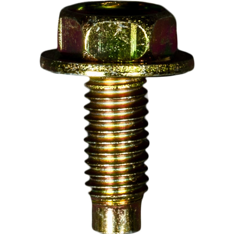 M6-1.0x16mm License Plate Screw, Dog Point, 14mm Washer, Yellow Zinc Dichromate