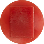 13mm Door Trim Panel Clip, 17mm Head