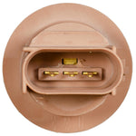 Brown Turn Signal Lamp Socket Base