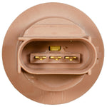 Brown Turn Signal Lamp Socket Base