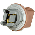 Brown Turn Signal & Back-Up Lamp Socket