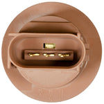 Brown Turn Signal & Back-Up Lamp Socket