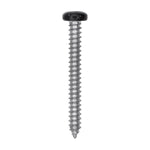 #8x1-1/2" Pan Head Painted Square Drive Tapping Screw, Type A/AB, Zinc, Black